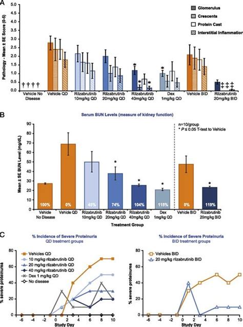 Preclinical Efficacy and Anti-Inflammatory Mechanisms of Action of the Bruton Tyrosine Kinase ...