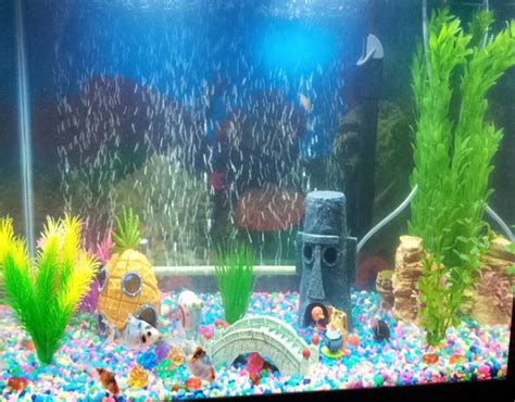 Make A Much More Dramatic Effect In A Fish Tank - hygger