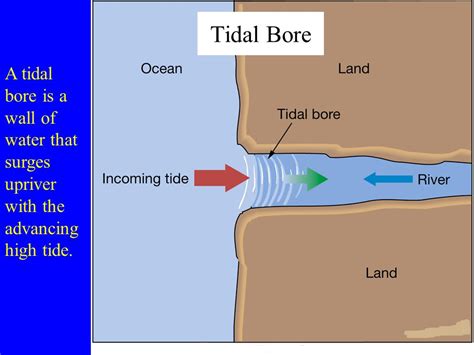 Types of Tides - INSIGHTS IAS - Simplifying UPSC IAS Exam Preparation