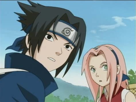 Watch Naruto Episode 26 Online - Special Report: Live from the Forest ...