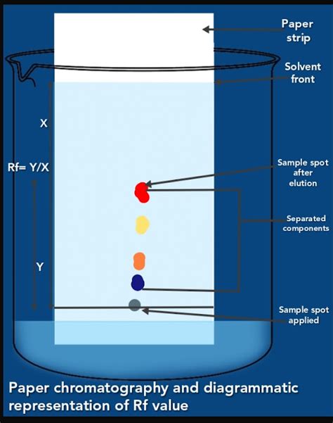 Separation techniques, chromatography its classification and paper ...