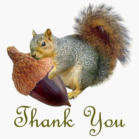 squirrel_acorn_thank_you_greeting_cards_pk_of_10.jpg?height=460&width=460&padToSquare=true