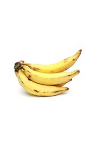 Matti banana - Greenland Nursery Chennai