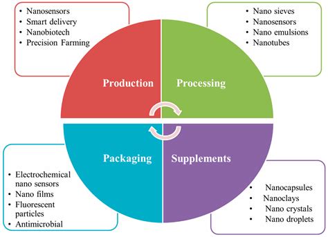 Foods | Free Full-Text | An Overview of the Applications of ...