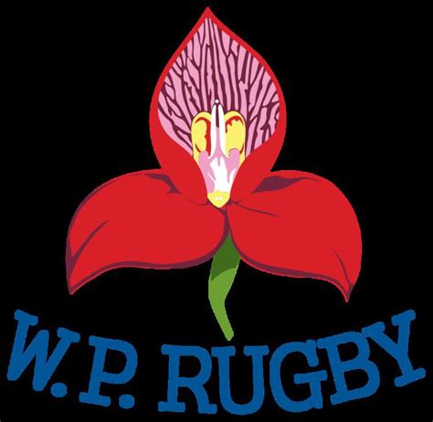 Western Province (rugby team) - Alchetron, the free social encyclopedia