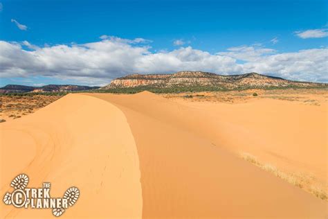 Coral Pink Sand Dunes – Utah | The Trek Planner