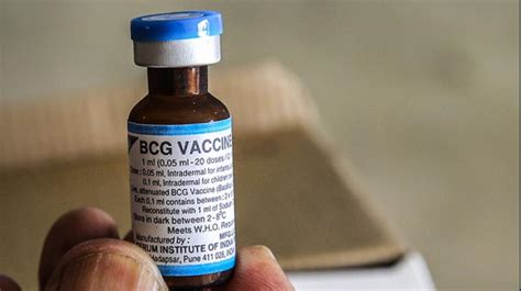 Mandatory BCG vaccination linked with slower COVID-19 growth - The Shillong Times