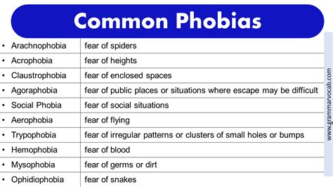 List of Phobias: Funny Phobias - Rarest Phobias -Weird Phobias | PDF ...