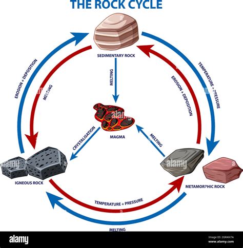 Diagram showing rock cycle Stock Vector Image & Art - Alamy