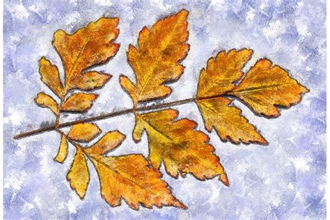 Yellow Autumn Leaves Digital Painting Graphic by AnnArtshock · Creative Fabrica