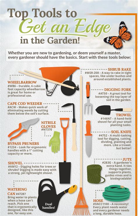 What Gardening Tools are Essential? – VINES