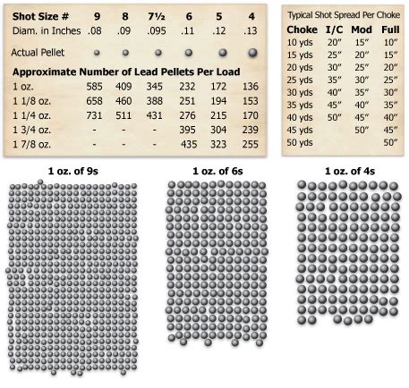 How Many Pellets Are In A 12-gauge Shotgun Shell? Quora