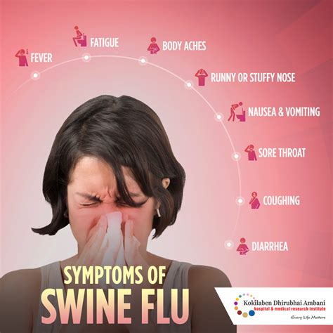 Swine Flu Symptoms 2024 South Africa - Kevyn Merilyn