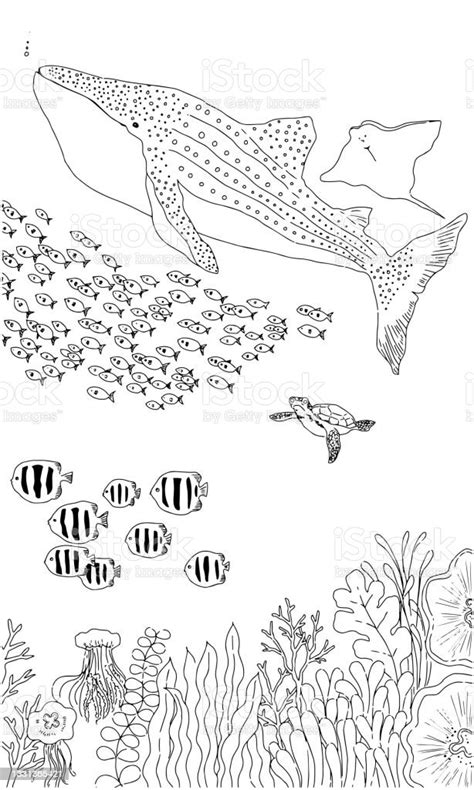 Fish Swimming With Whale Sharks Stock Illustration - Download Image Now - Sea, Coral - Cnidarian ...