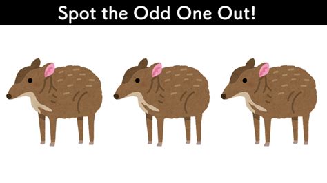 Spot the Odd One Out! by Dr-SPOT on DeviantArt