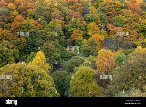 23 October 2022. Moray, Scotland. This is a display of the Autumn ...