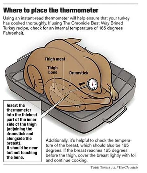 Where To Put Meat Thermometer In Turkey at Edwin Nelson blog