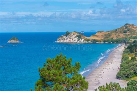 Aerial View of Hahei Beach at Coromandel Peninsula, New Zealand Stock ...