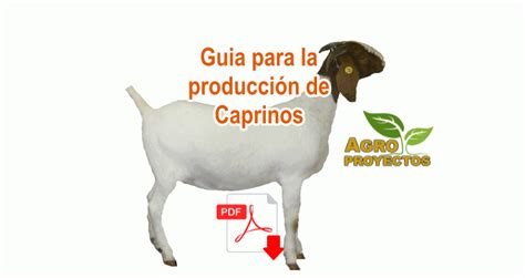 Guía para la produccion de caprinos o cabras - Agroproyectos