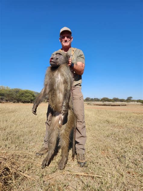 Hunting Baboon in South Africa - Somerby Safaris