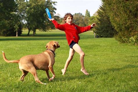 "El niño que crece con un animal será mejor persona en la edad adulta"