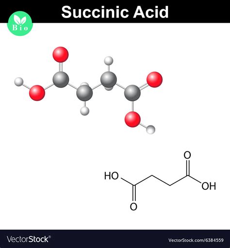 Succinic Acid Lewis Structure