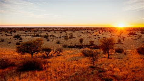 Kalahari Desert: Hydrology of the Kalahari Desert: With specific focus ...