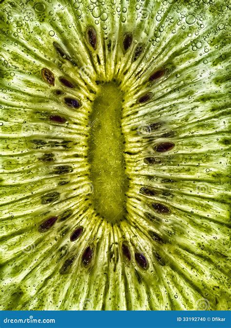 Kiwi Slice stock photo. Image of background, pattern - 33192740