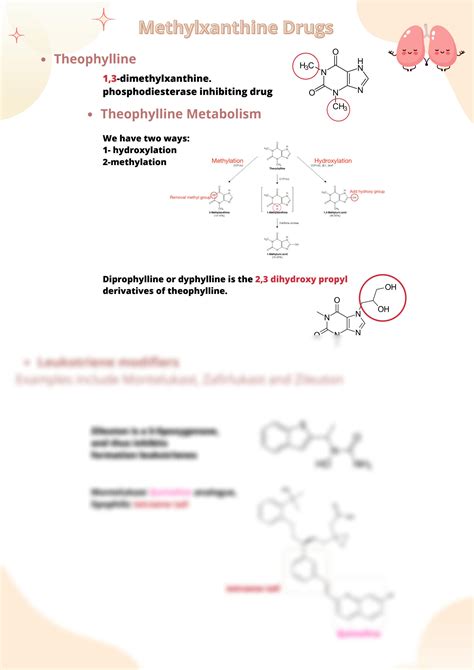 SOLUTION: Medicinal chem all you need to know about methylxanthine ...