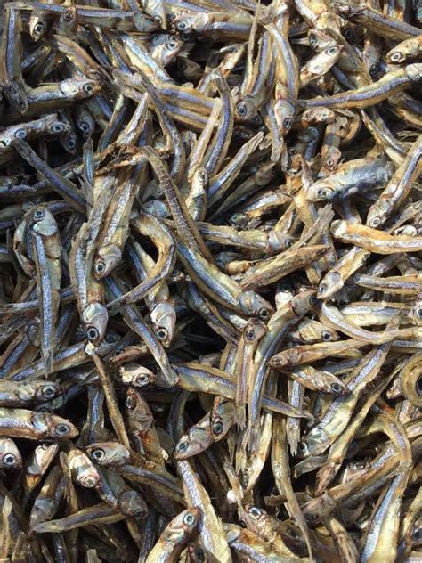 Dried Anchovy Fish/ Dry Anchovy/ High Quality And Good Price Sprats ...