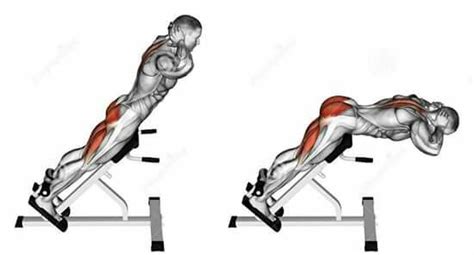 Roman Chair Fitness Workouts, Gym Crossfit Workout, Home Workout Men ...