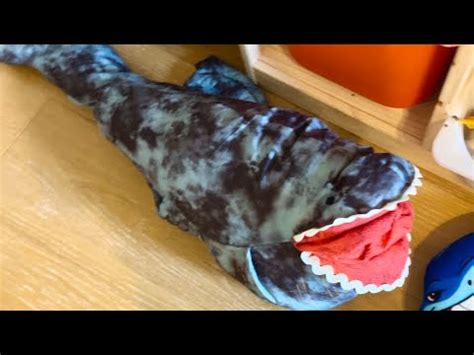 Sea creature size comparison featuring brand new custom made STUFFED BLOOP TOY - YouTube