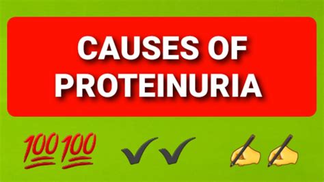 Causes of Proteinuria || Pathology Practical Exam - YouTube