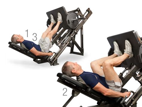 How to Safely Use the Leg Press, Leg Curl and Leg Extension Machine - Anytime Fitness