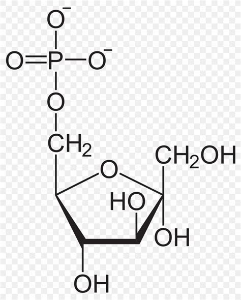 Fructose 6-phosphate Glucose 6-phosphate Fructose 1,6-bisphosphate, PNG, 2000x2491px, Fructose ...