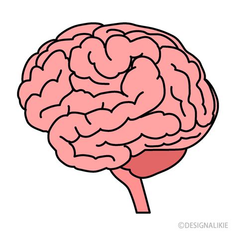 Brain Clipart Png