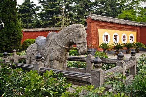 2024白马寺门票,洛阳白马寺游玩攻略,白马寺游览攻略路线/地址/门票价格-【去哪儿攻略】