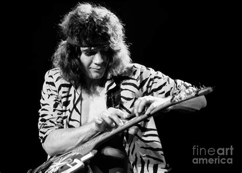 Eddie Van Halen 1984 Photograph by Chris Walter - Fine Art America