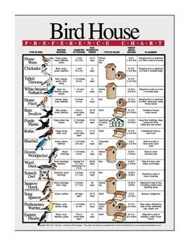 Bird House Preference Chart Poster