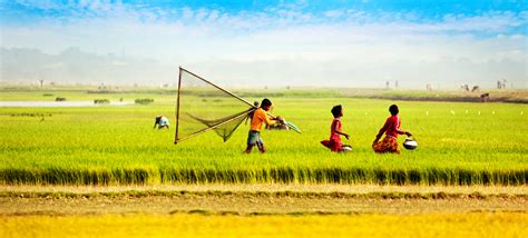 Natural-Beauty-of-Bangladesh - Deshghuri - Explore Authentic Bangladesh ...