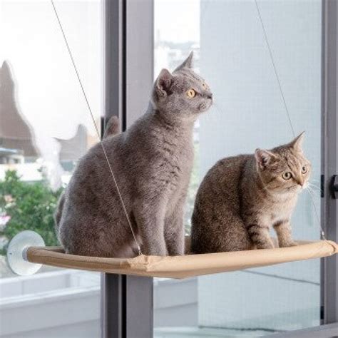 Cat Window Perch, Cat Hammock Window Seat, Space Saving Window Mounted ...