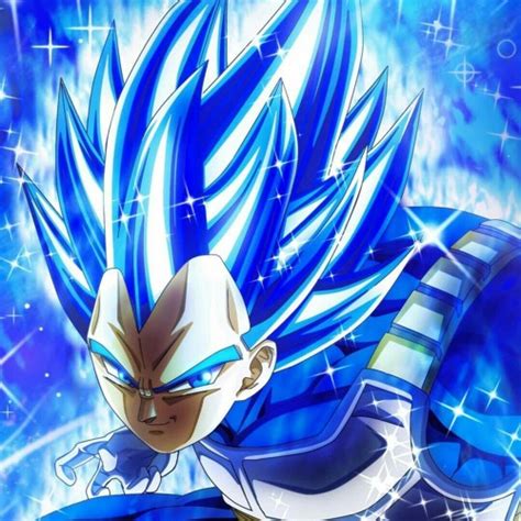 Super Saiyan Blue Evolution Vegeta Xenoverse 2 - canvas-smorgasbord