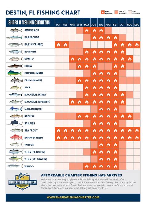 Florida Fishing Seasons Calendar - Printable Computer Tools