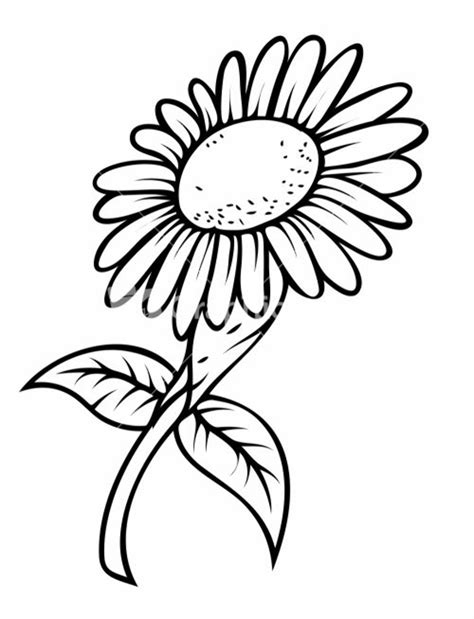 Download High Quality sunflower clip art drawing Transparent PNG Images - Art Prim clip arts 2019