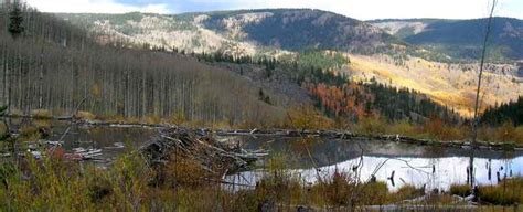 Rio Grande National Forest