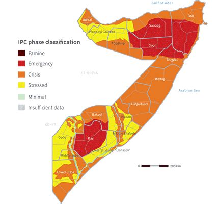 Fighting famine : FAO in Emergencies