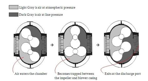 What is a Positive Displacement Blower? - Pneu-Con Conveying