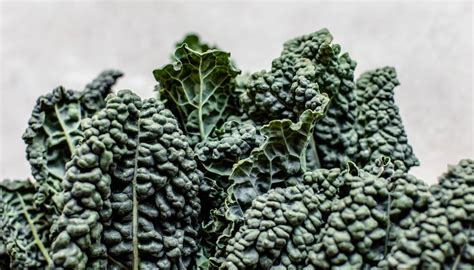 Lacinato Kale — J. Marchini Farms