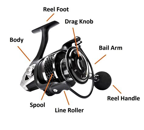 How to Setup and Use a Spinning Rod and Reel