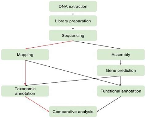 Metagenomics analysis flowchart. Two different workflows for ...